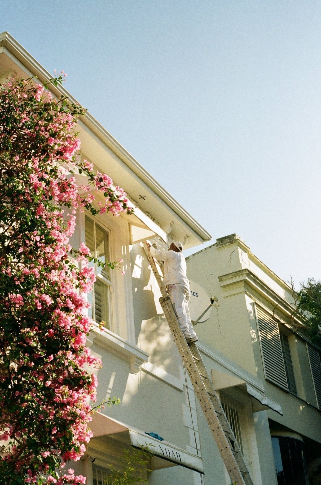 City Guide | Cape Town - elsie green