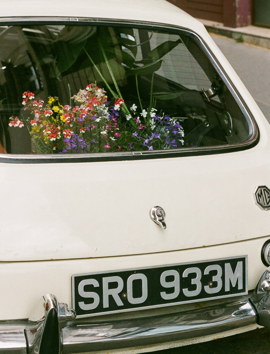 City Guide | Lyon - elsie green