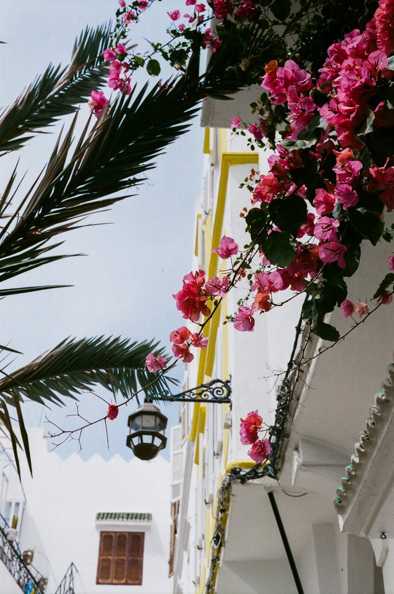 City Guide | Tangier - elsie green