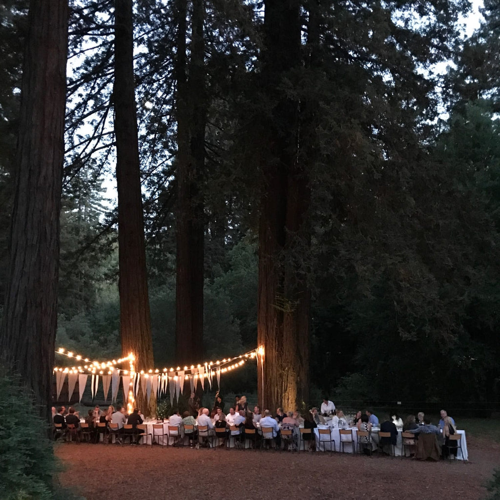Dinner In The Redwoods