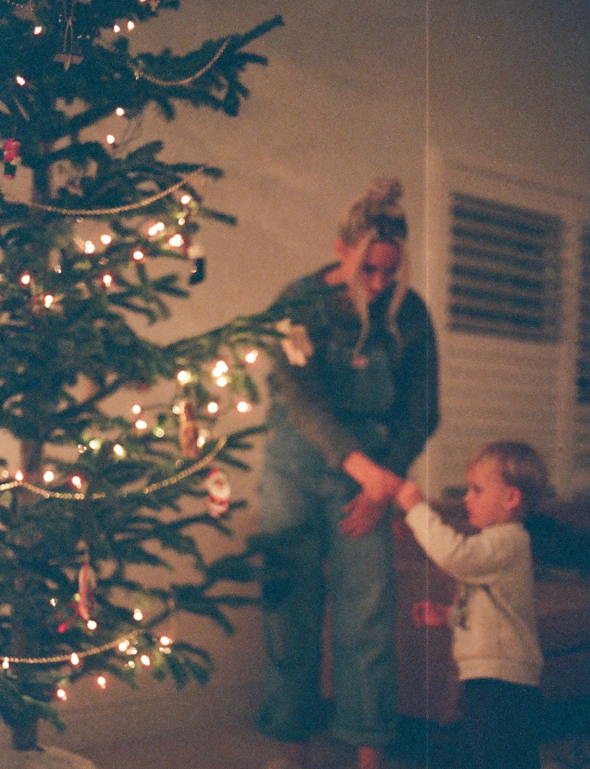 DIY Petite Christmas Trees | A How-To With Kelsey - elsie green