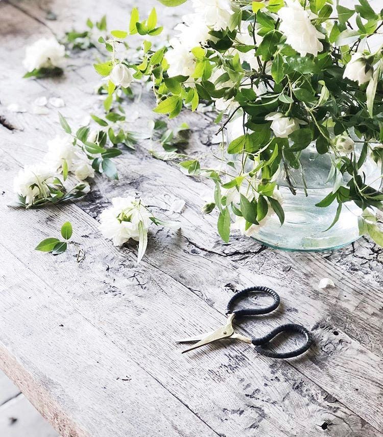 Elsie Item of The Month | Vintage Pickling Jars - elsie green