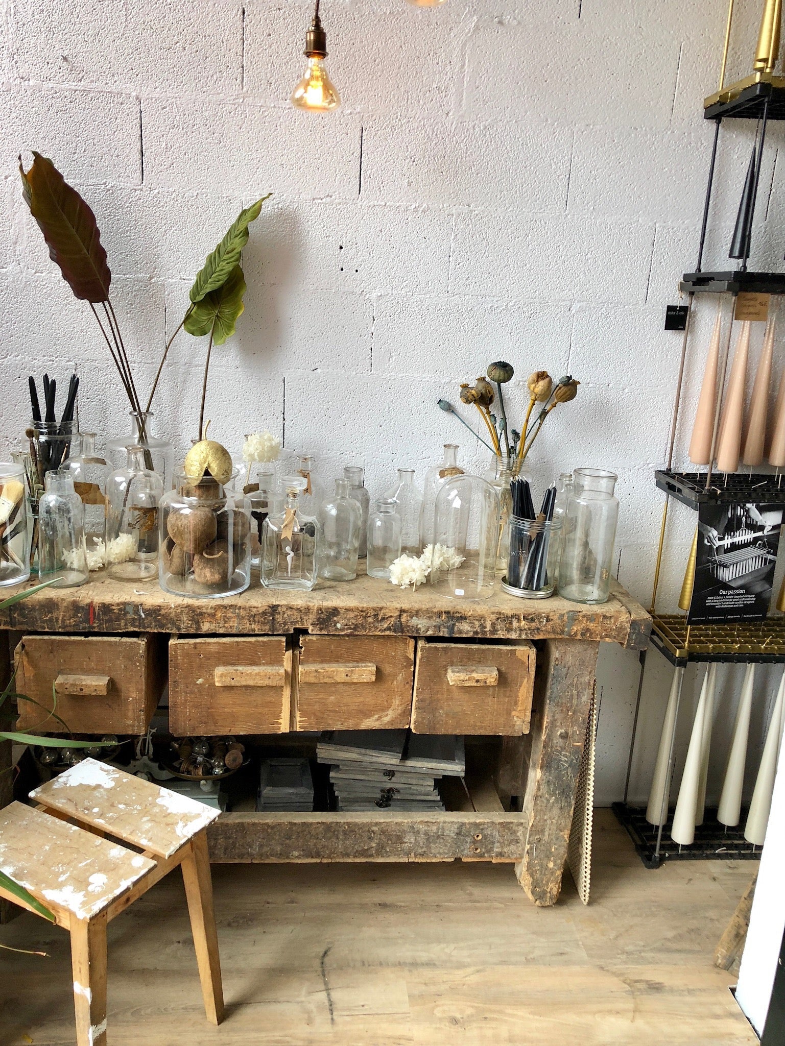 Elsie's Eight | August Edition - elsie green