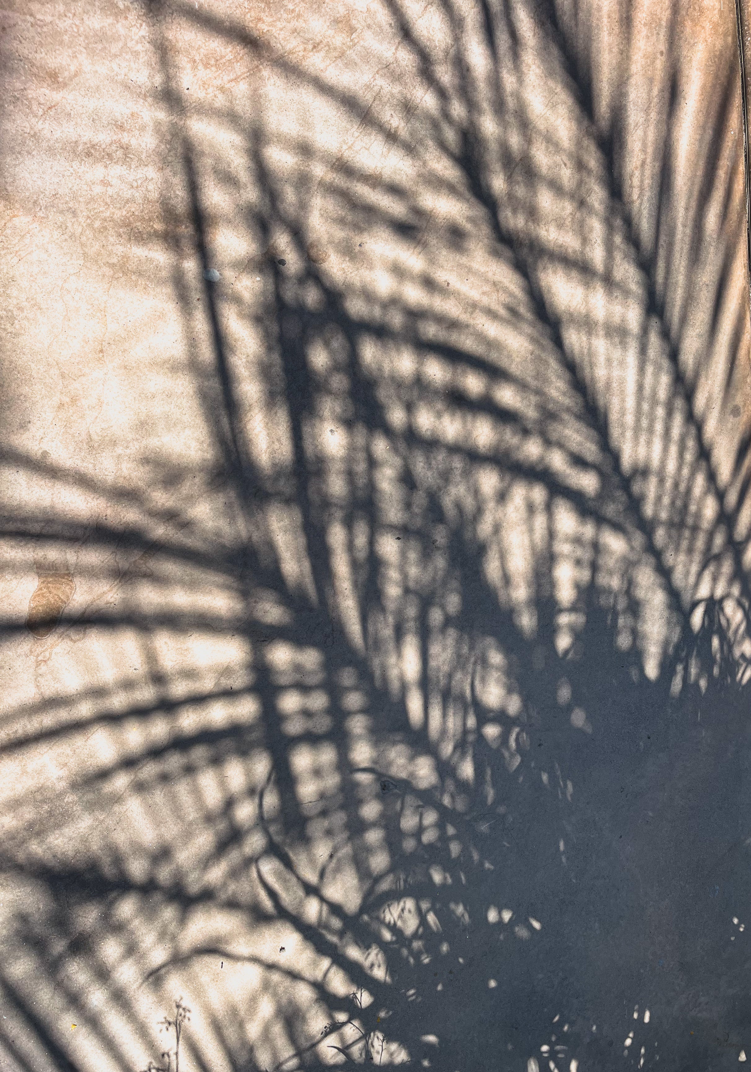 Elsie's Eight: July Edition - elsie green