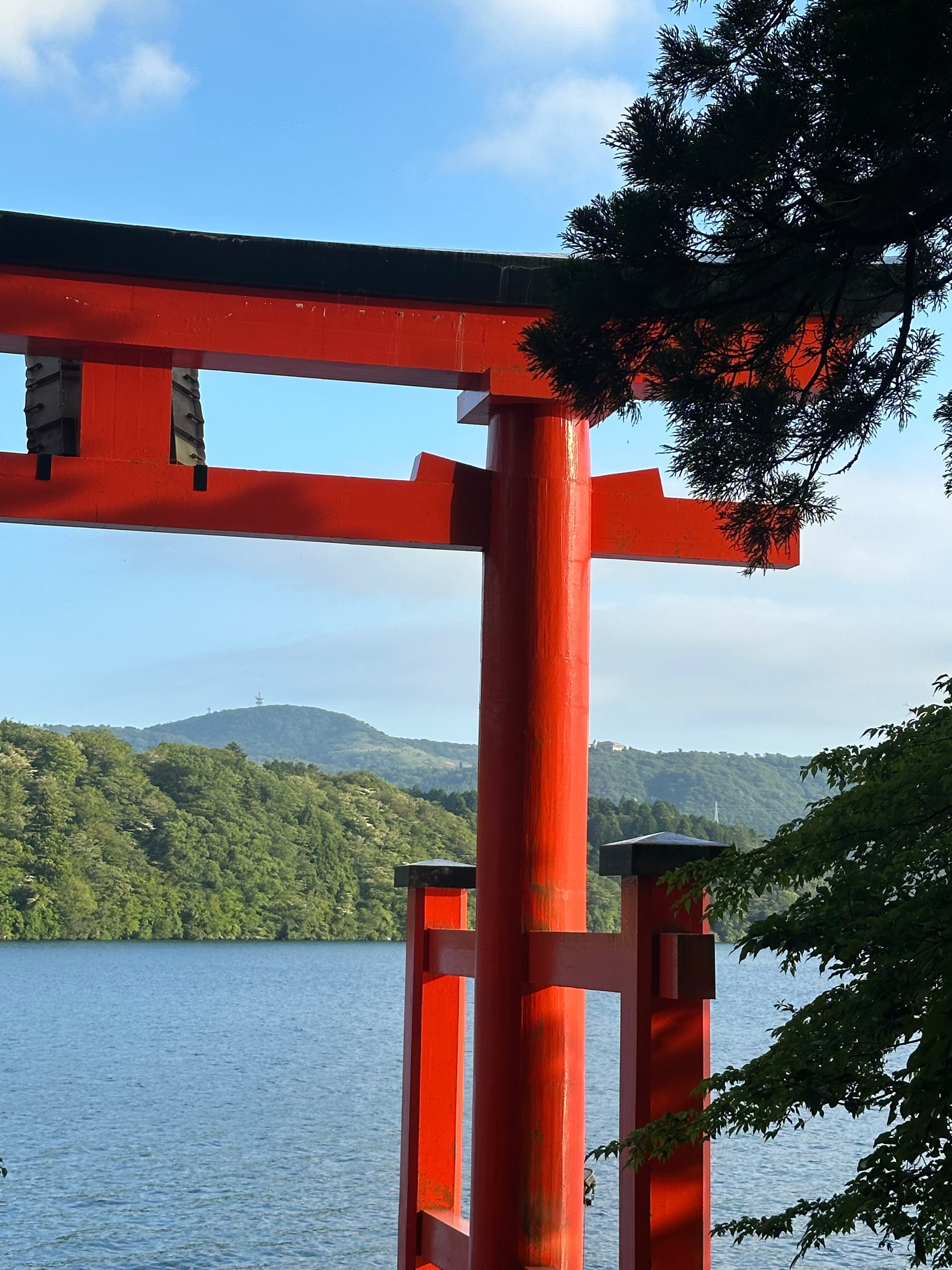 Elsie's Eight | June Edition - elsie green