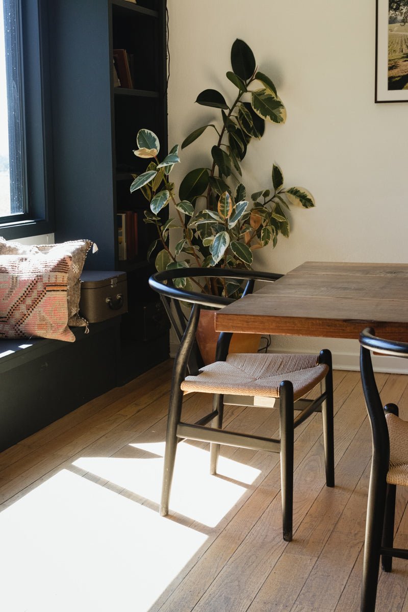 Elsie's Eight | November Edition - elsie green