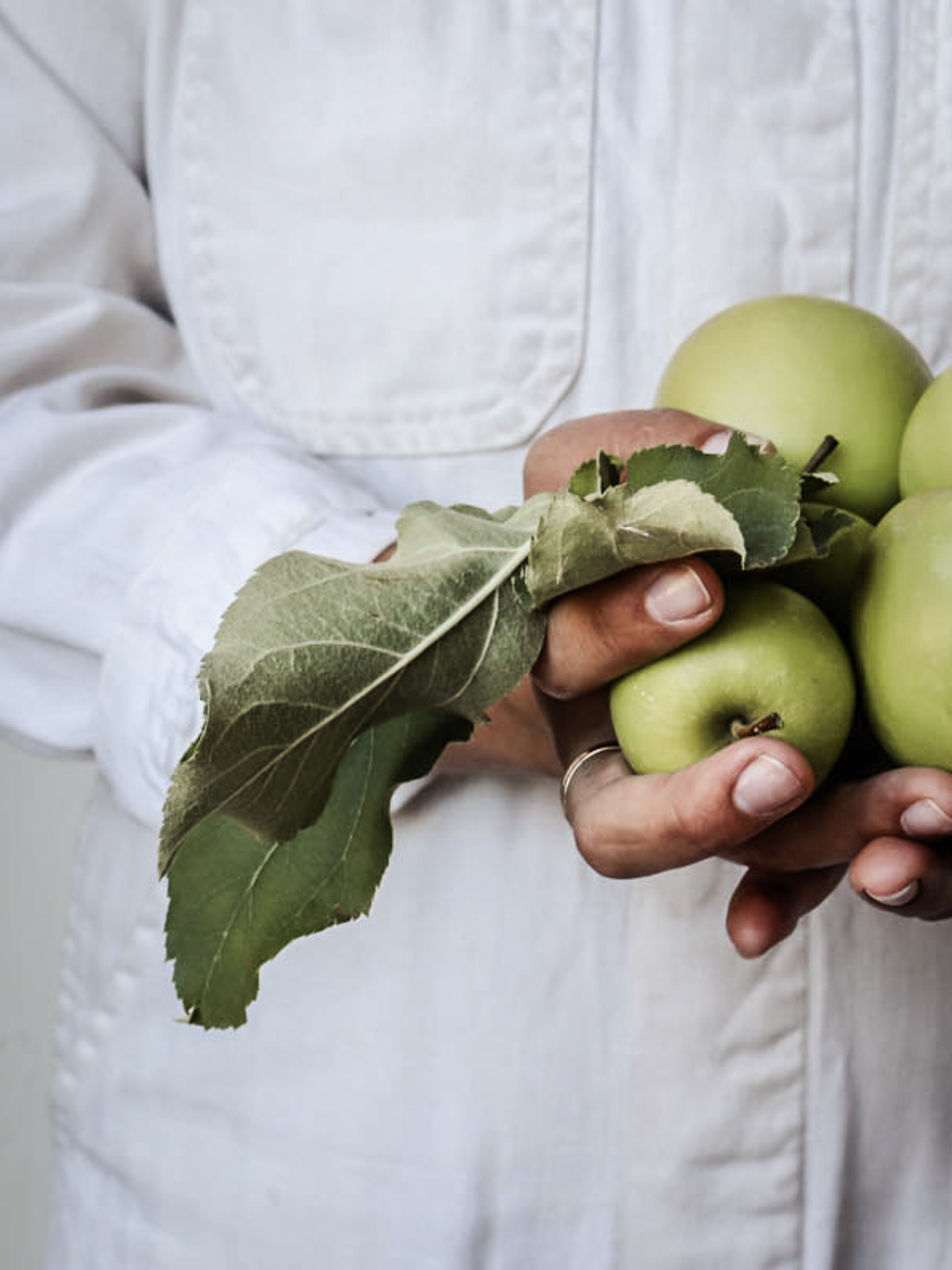 Elsie's Eight | October Edition - elsie green