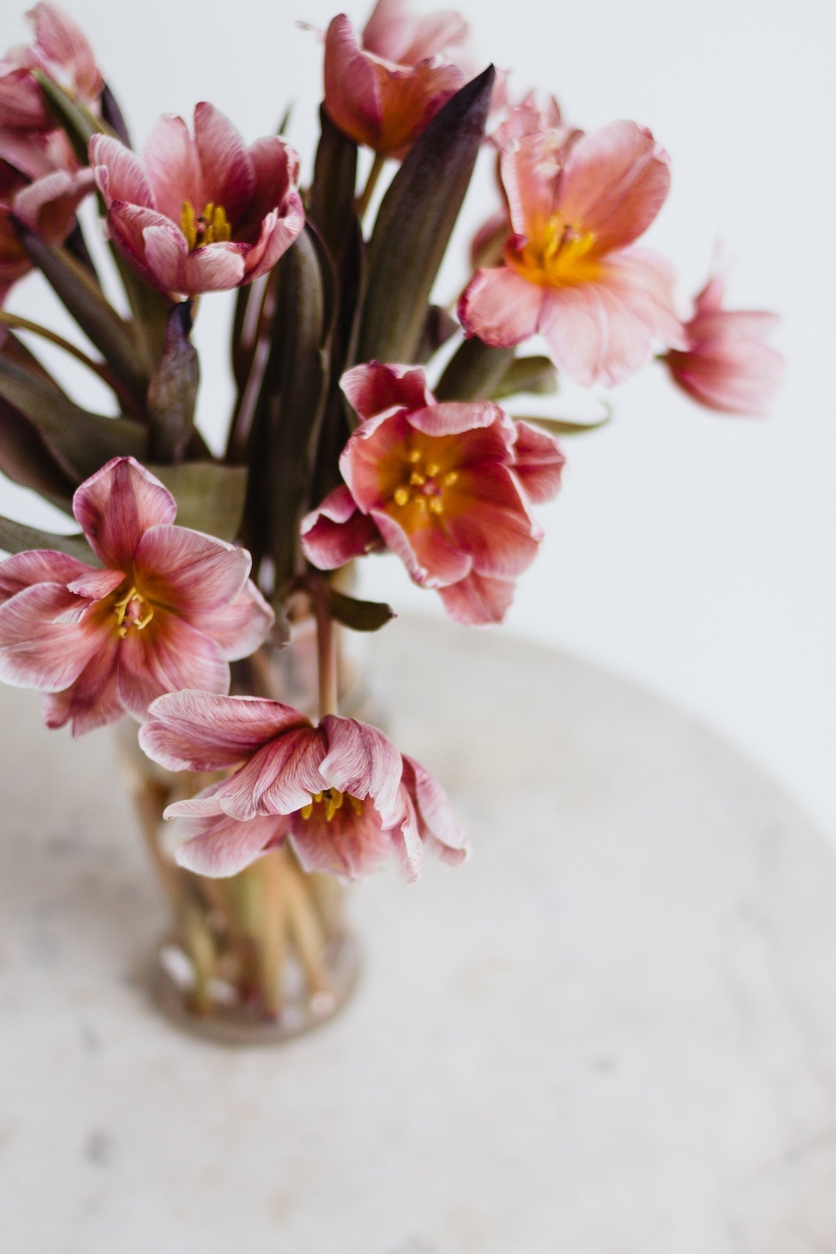 Elsie's Eight | Valentine's Edition - elsie green