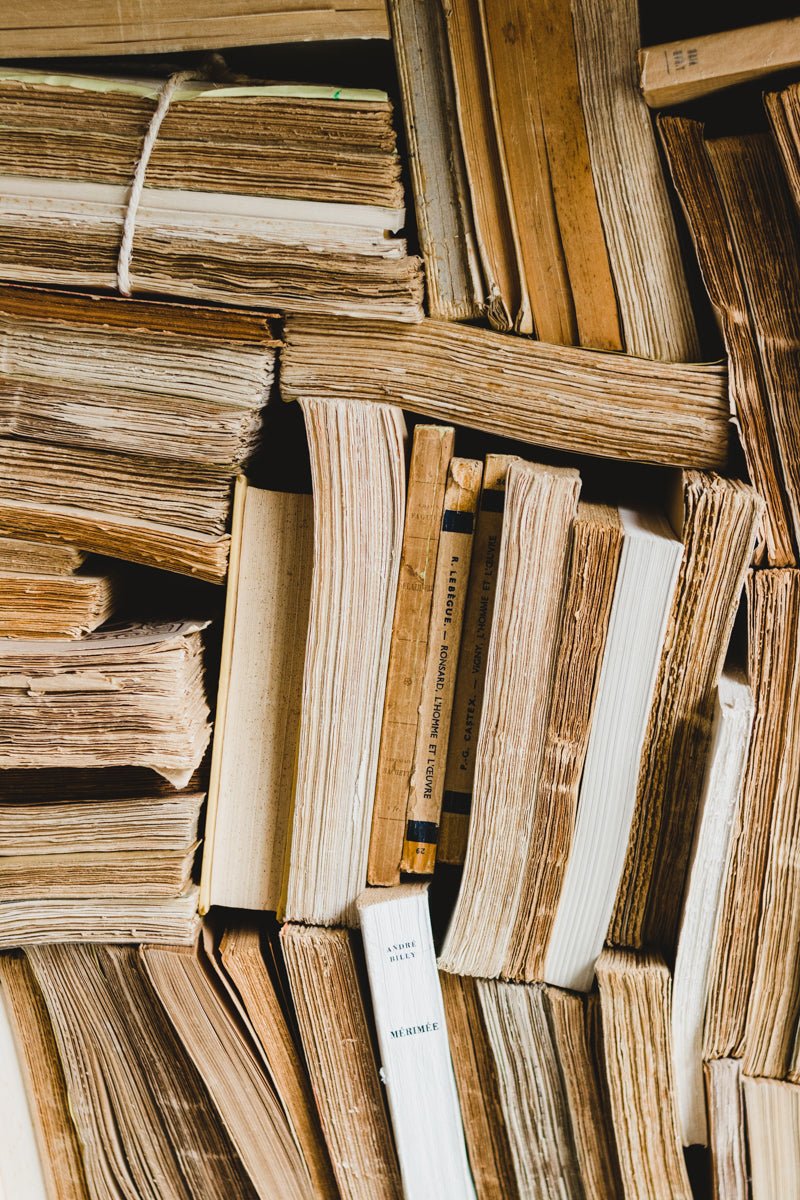 Elsie's Library | Spring 2020 Reading List - elsie green