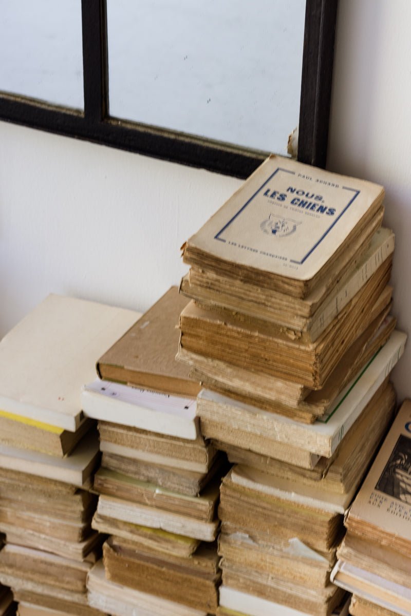 Elsie's Library | Winter Reading List - elsie green