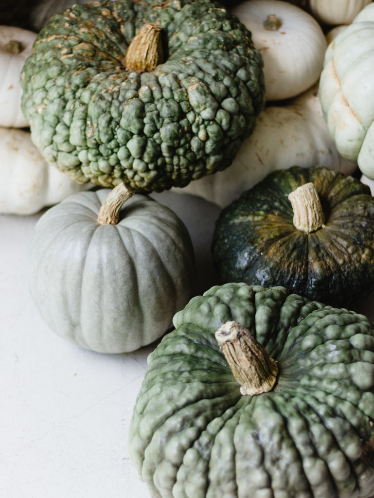 Press Play | Fall Mood