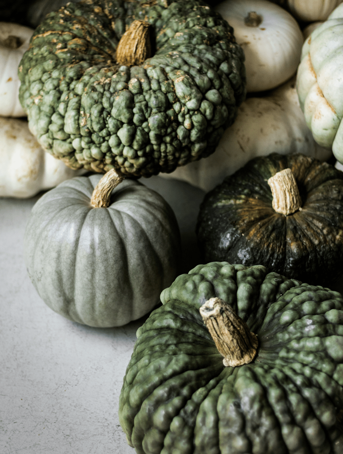 Fall Film Festival - elsie green