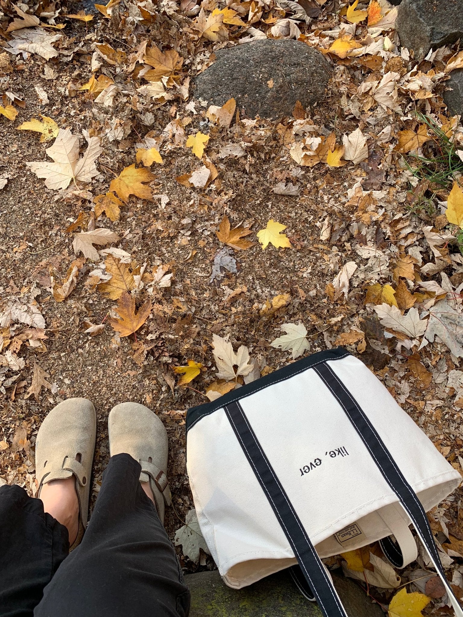 Fall Trends | Mules - elsie green