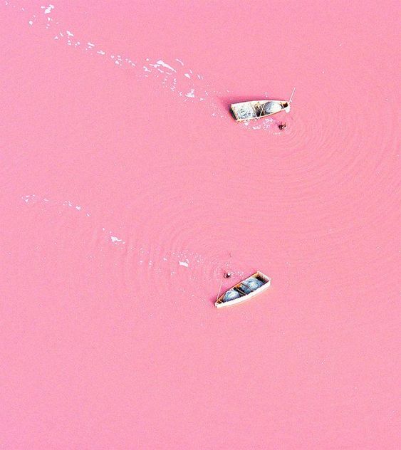 Trends from Down Under I Pink Lakes