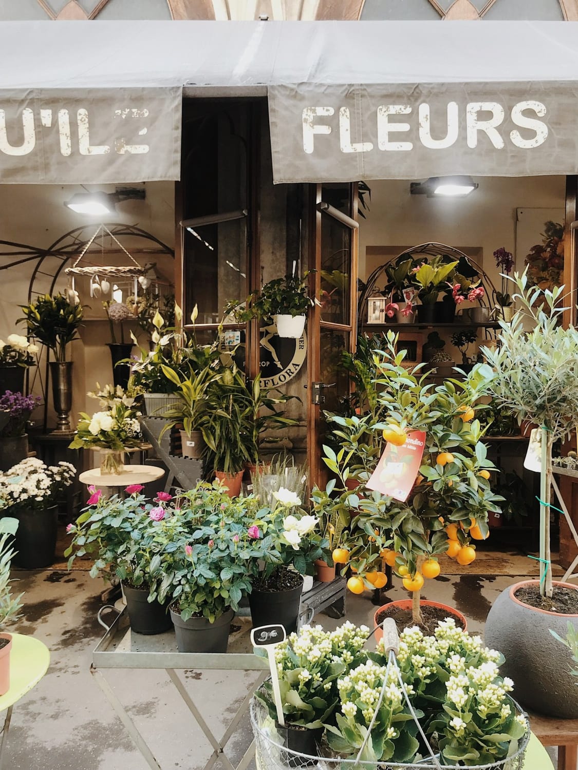 From the Archives | Grasshopper Summer, An Unexpected Reward - elsie green