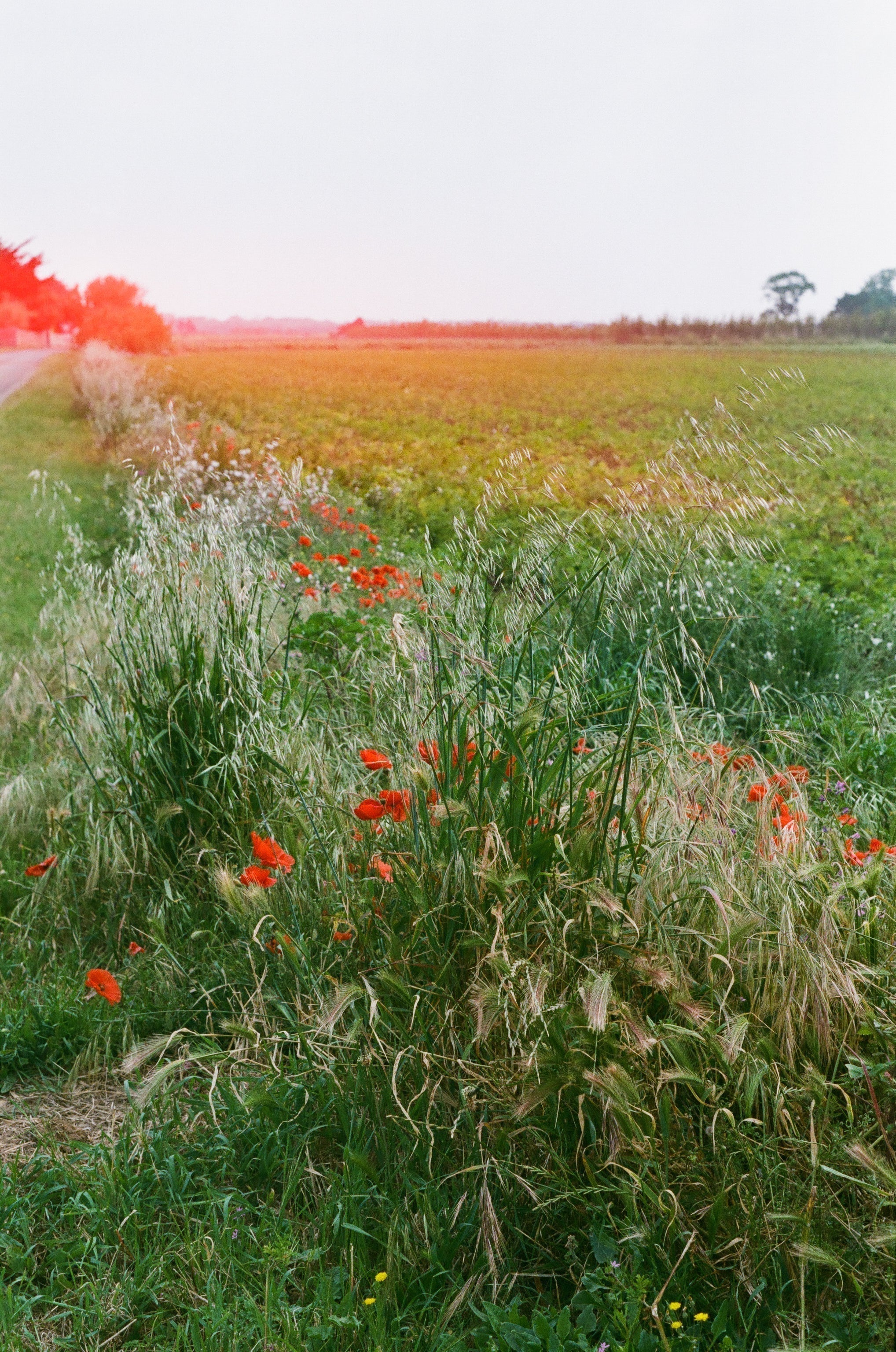 Inspired By Film | Wanderlust Movie List - elsie green