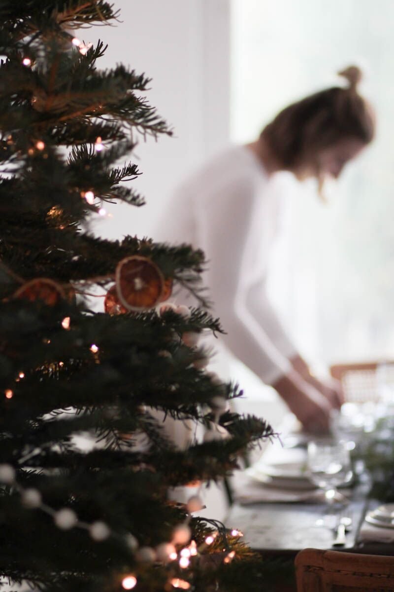 JP's Tips on Choosing the Perfect Tree - elsie green