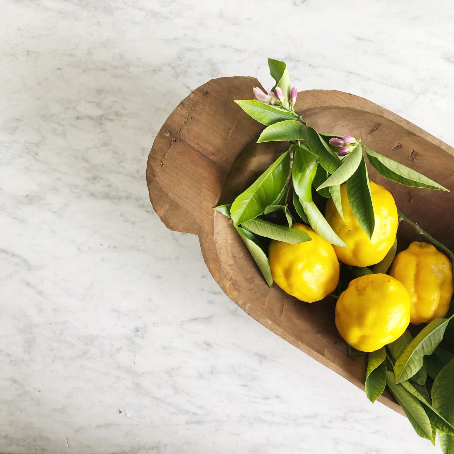 Lavender Lemon Spritzer S'il Vous Plait - elsie green