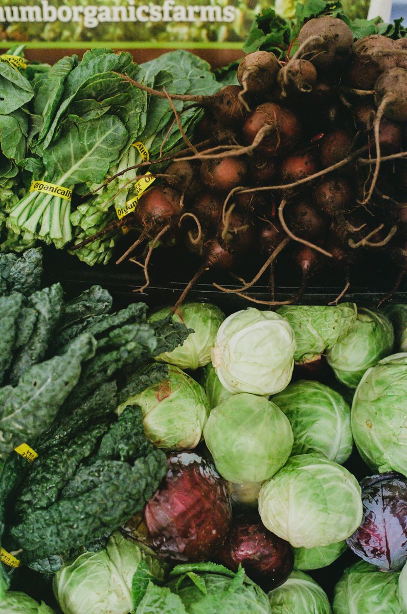 Market Report | A Farmer's Market Inspired Thanksgiving Menu - elsie green