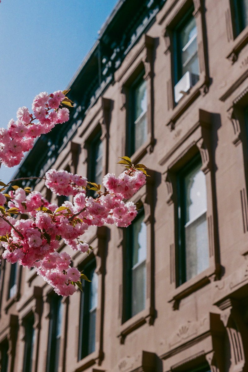 Micro City Guide | Brooklyn - elsie green