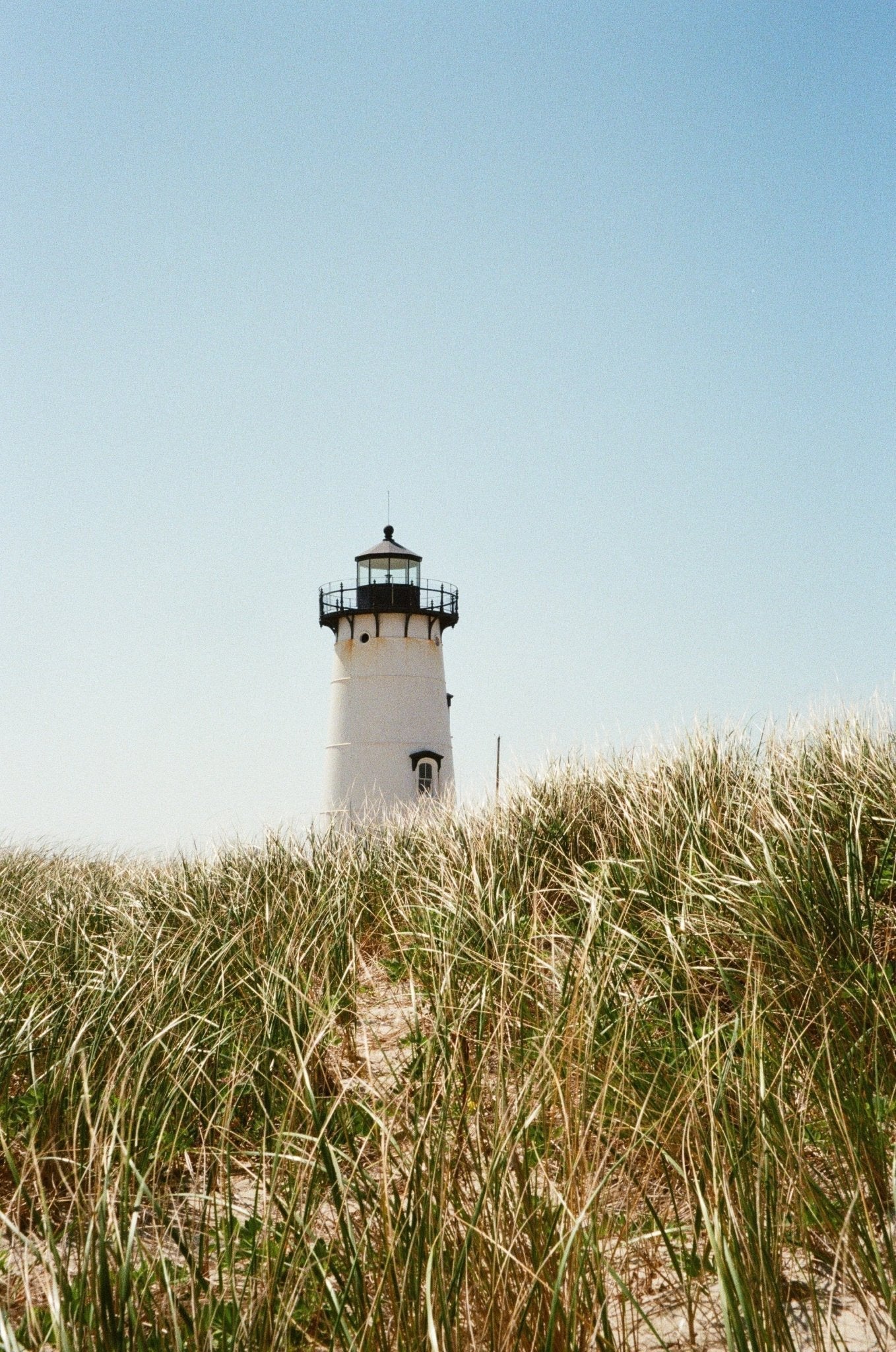 Micro City Guide | Martha's Vineyard - elsie green
