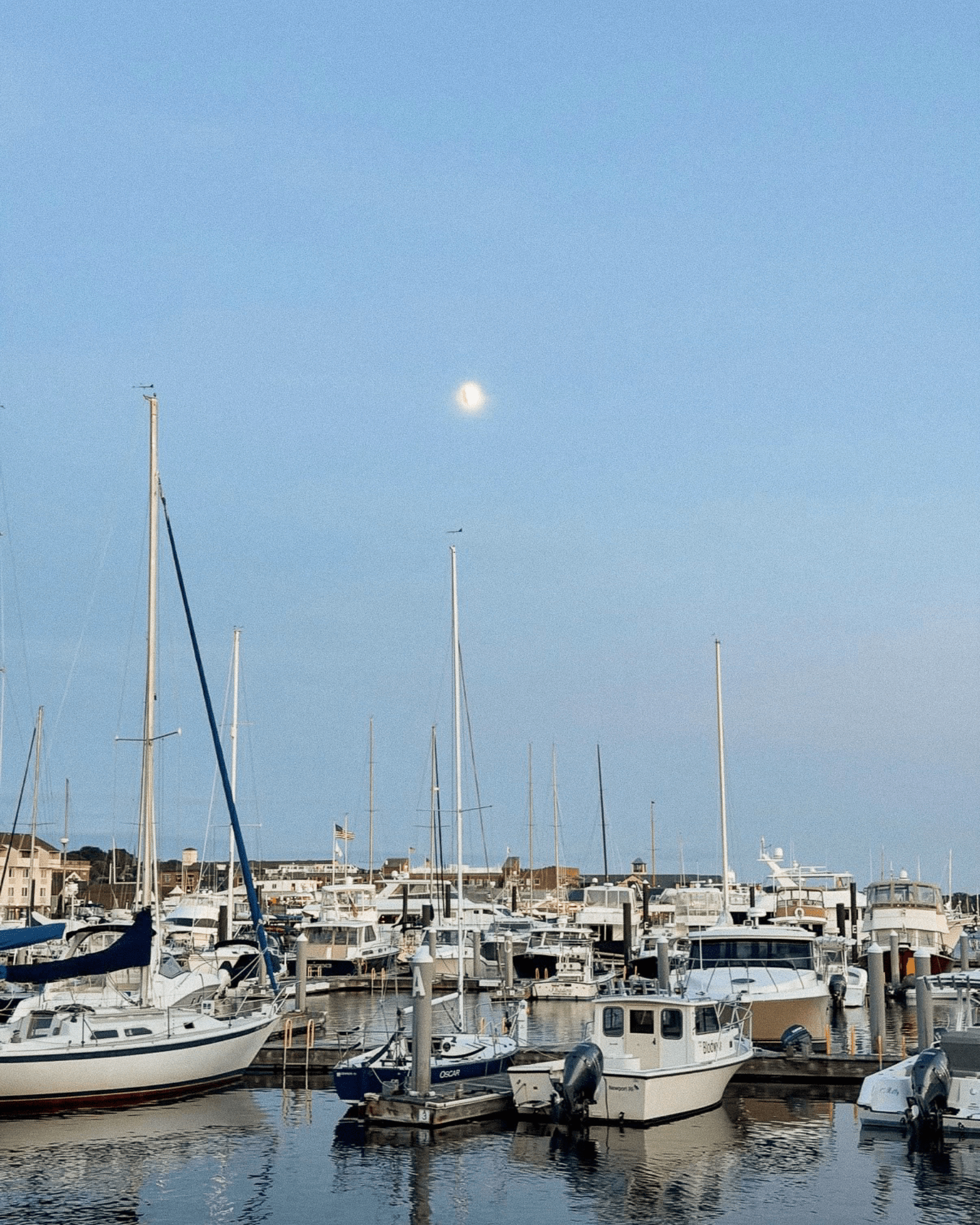 Micro City Guide | Newport - elsie green
