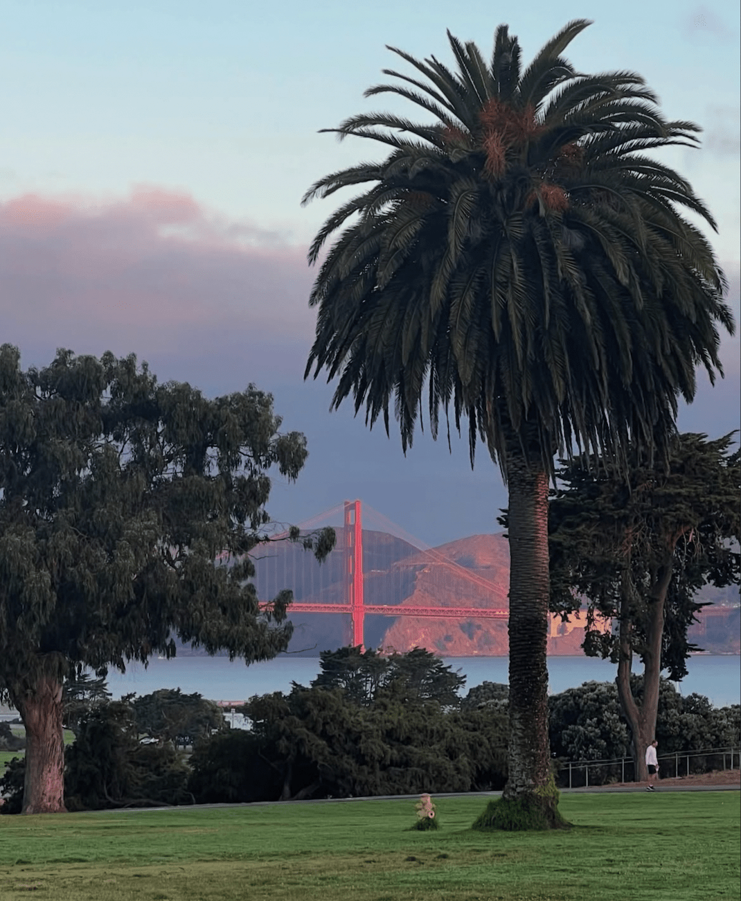 Micro City Guide | SF - elsie green