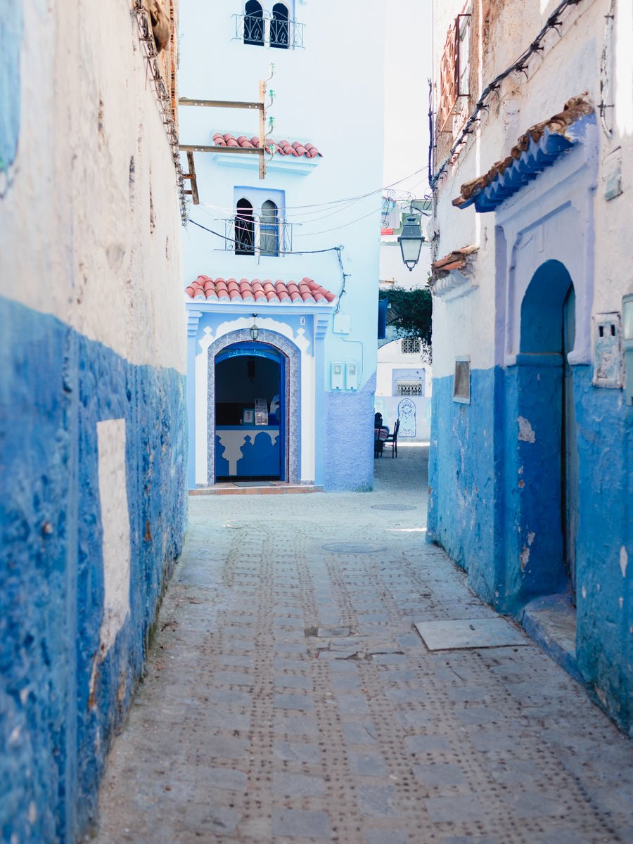 Moroccan dispatch - elsie green