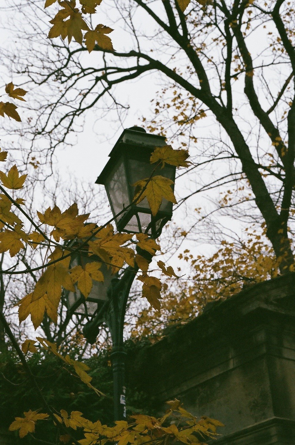 Movie Guide | Must-See Fall Films - elsie green