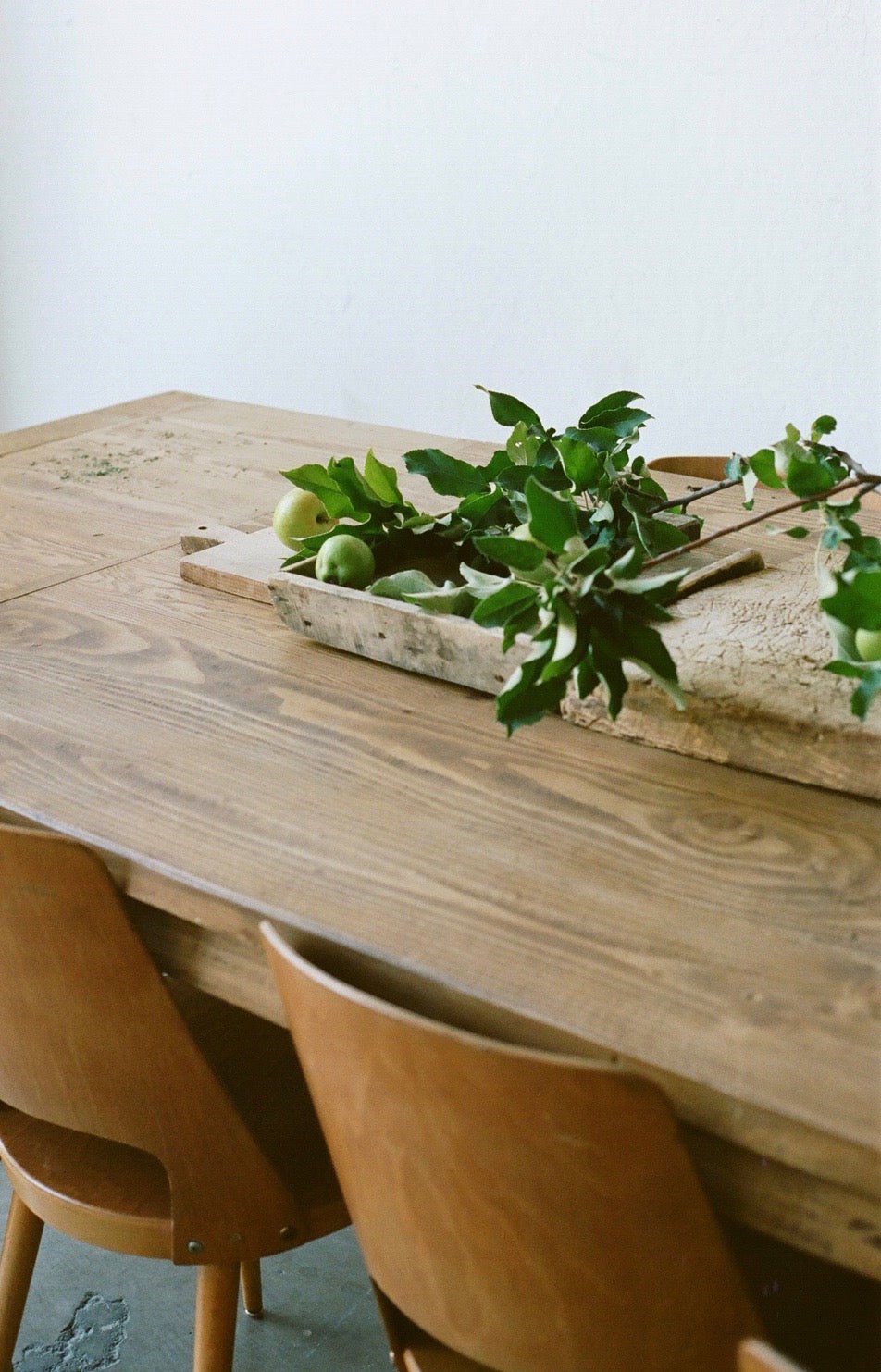 Our Affinity for Film - elsie green