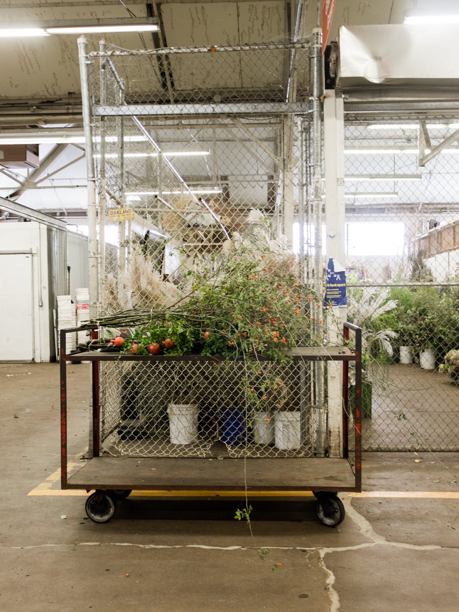 Our Fall Botanical Guide - elsie green