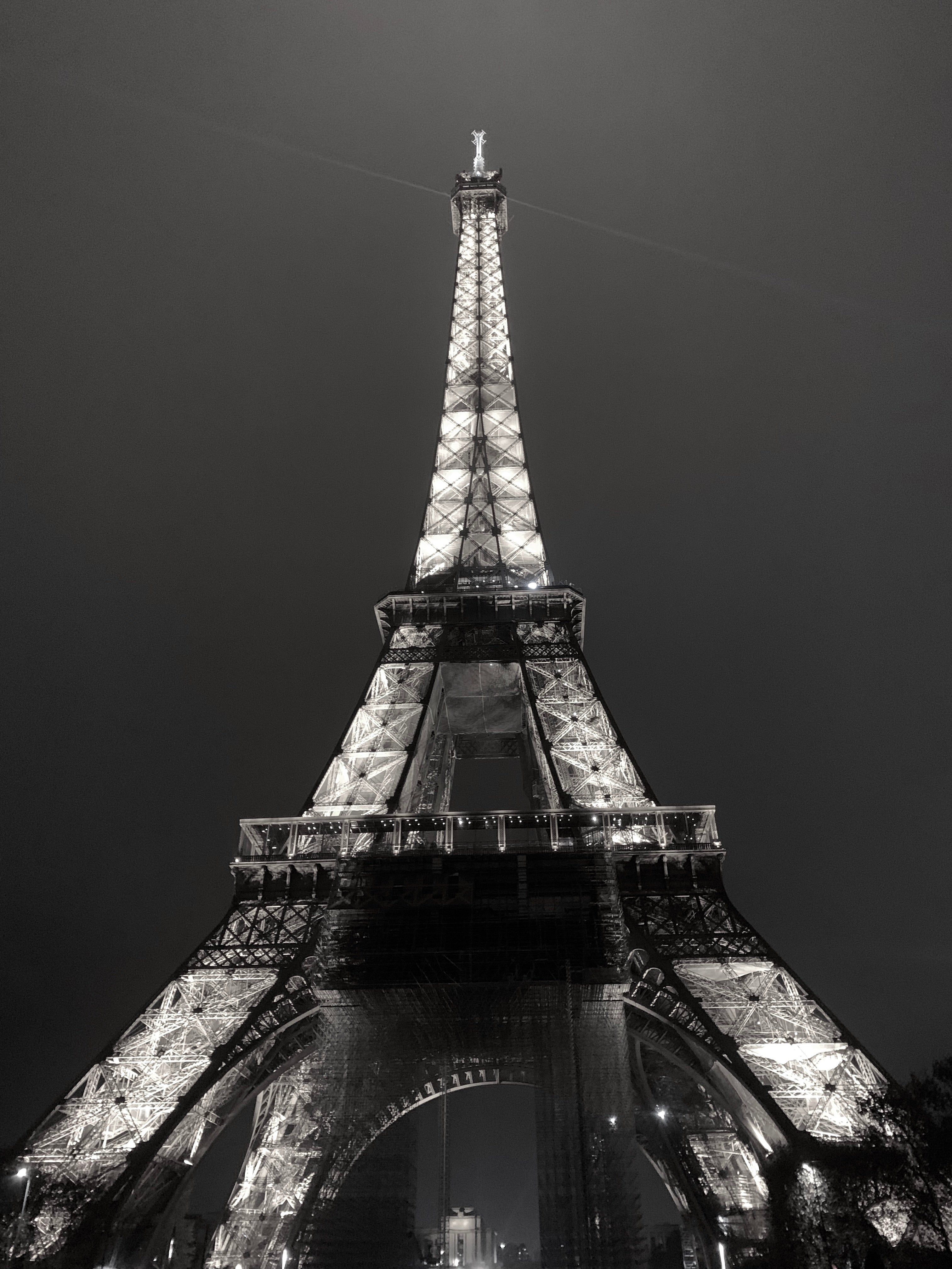 Our Guide to Our Long Lost Love, Paris - elsie green