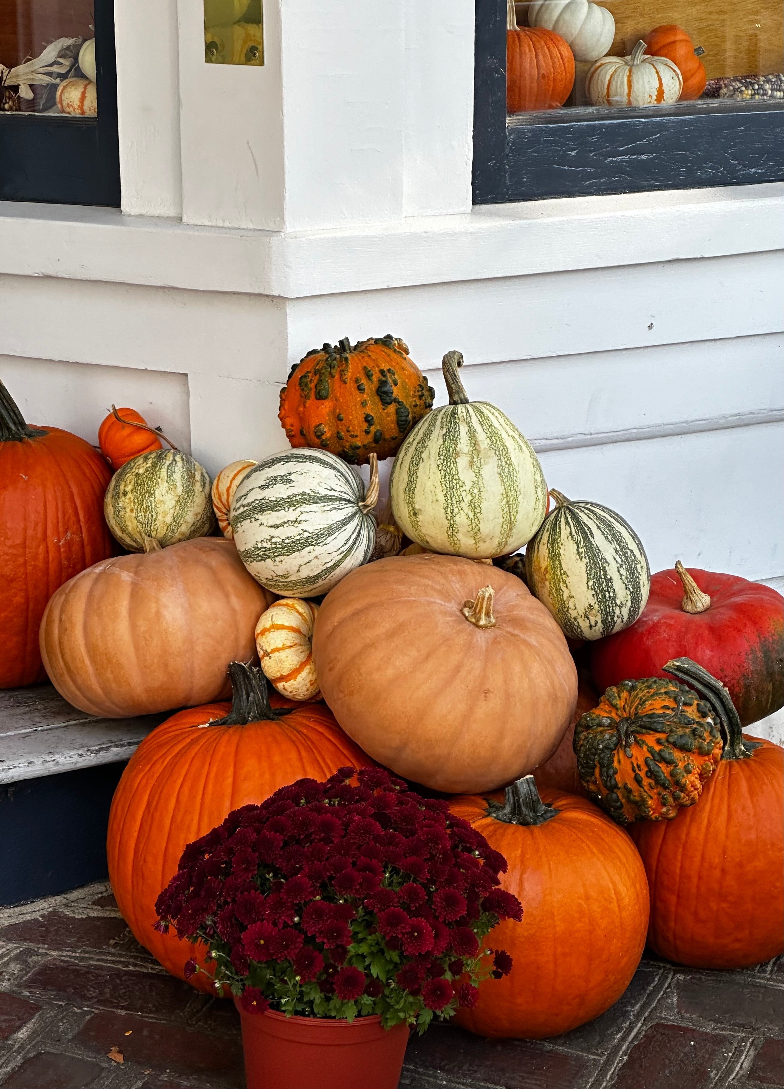 Past Due Pumpkins | What to Do With Yours After the Season Ends - elsie green
