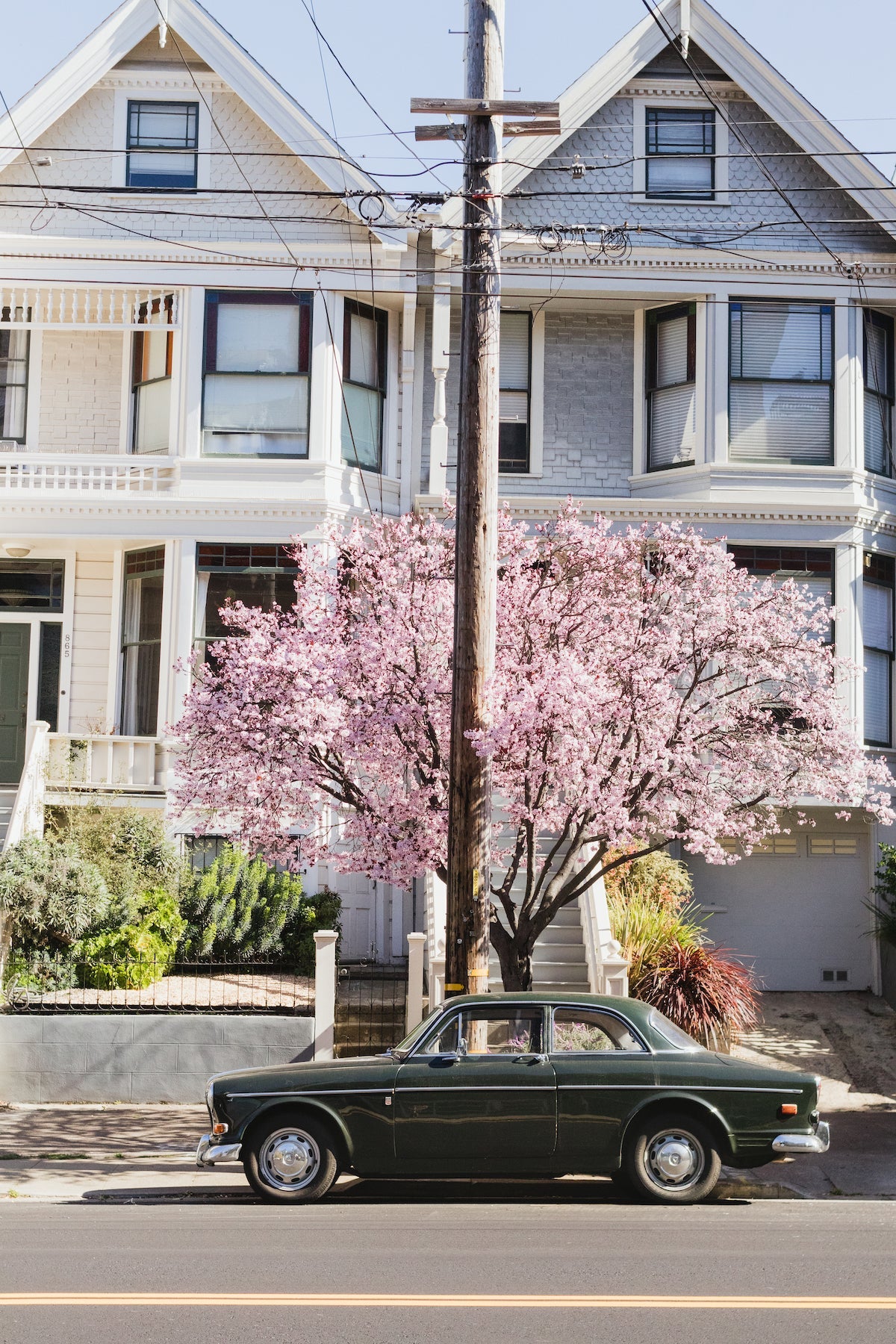 Playing Tourist - elsie green