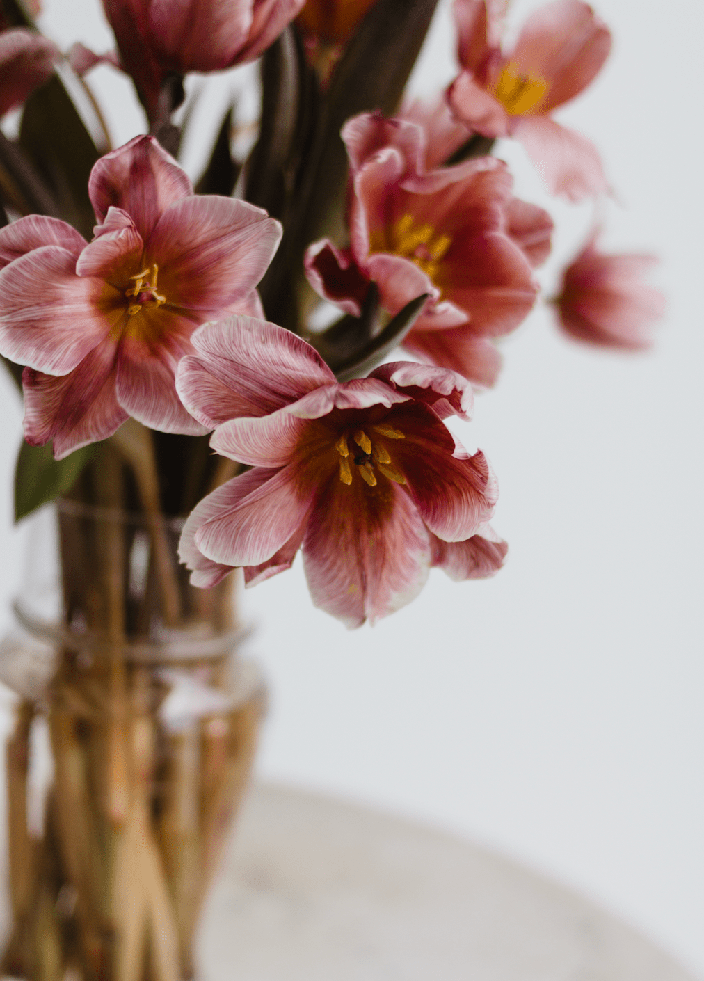 Press Play | Spring Equinox - elsie green