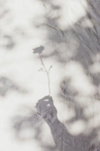 Press Play | Summer - elsie green