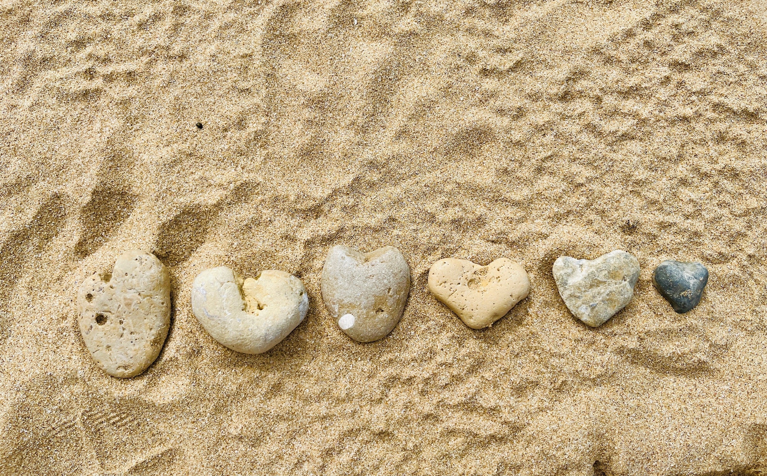 Press Play | Sun and Sea - elsie green