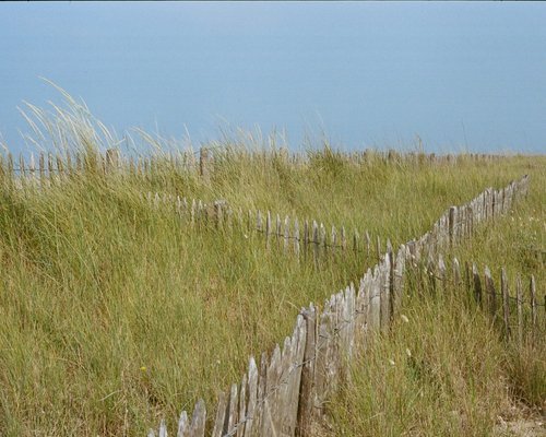 Press Play | Sunny Daze Autumn Haze - elsie green