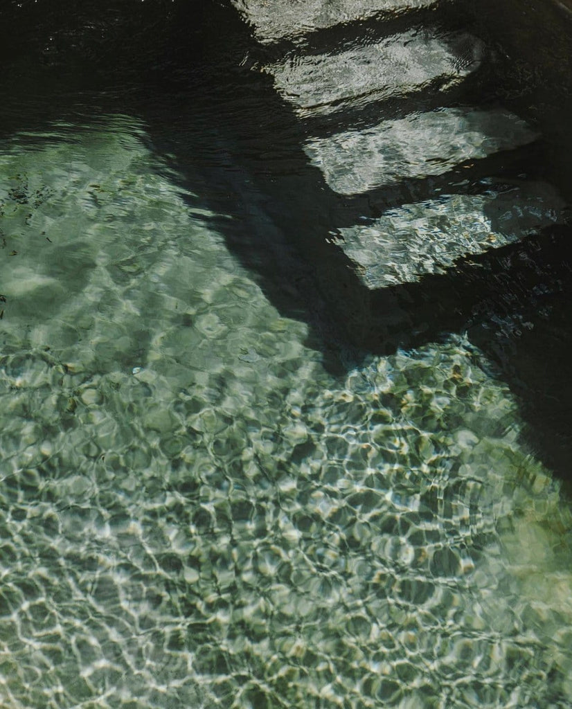 Shall We Go For a Swim