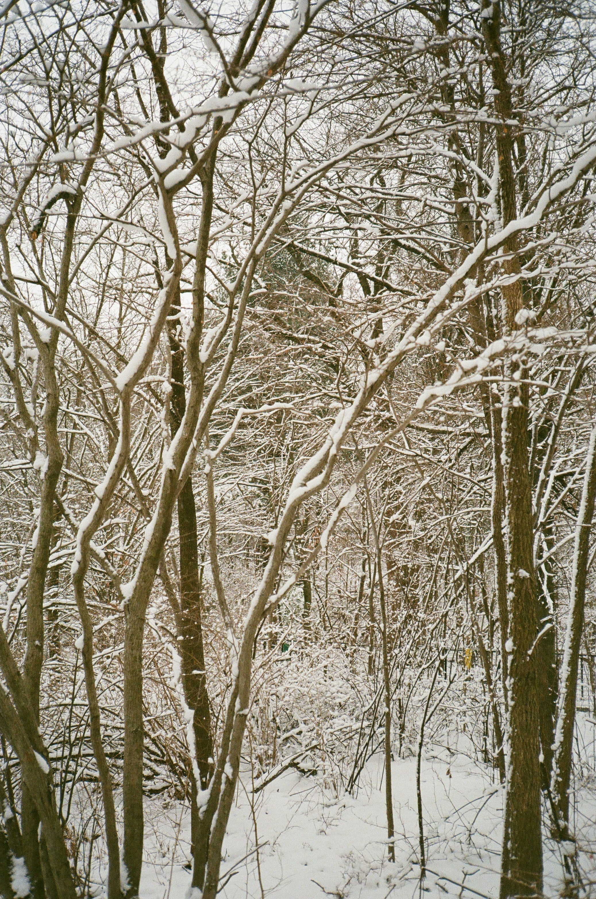 Shop Gal Guide | February Edition - elsie green