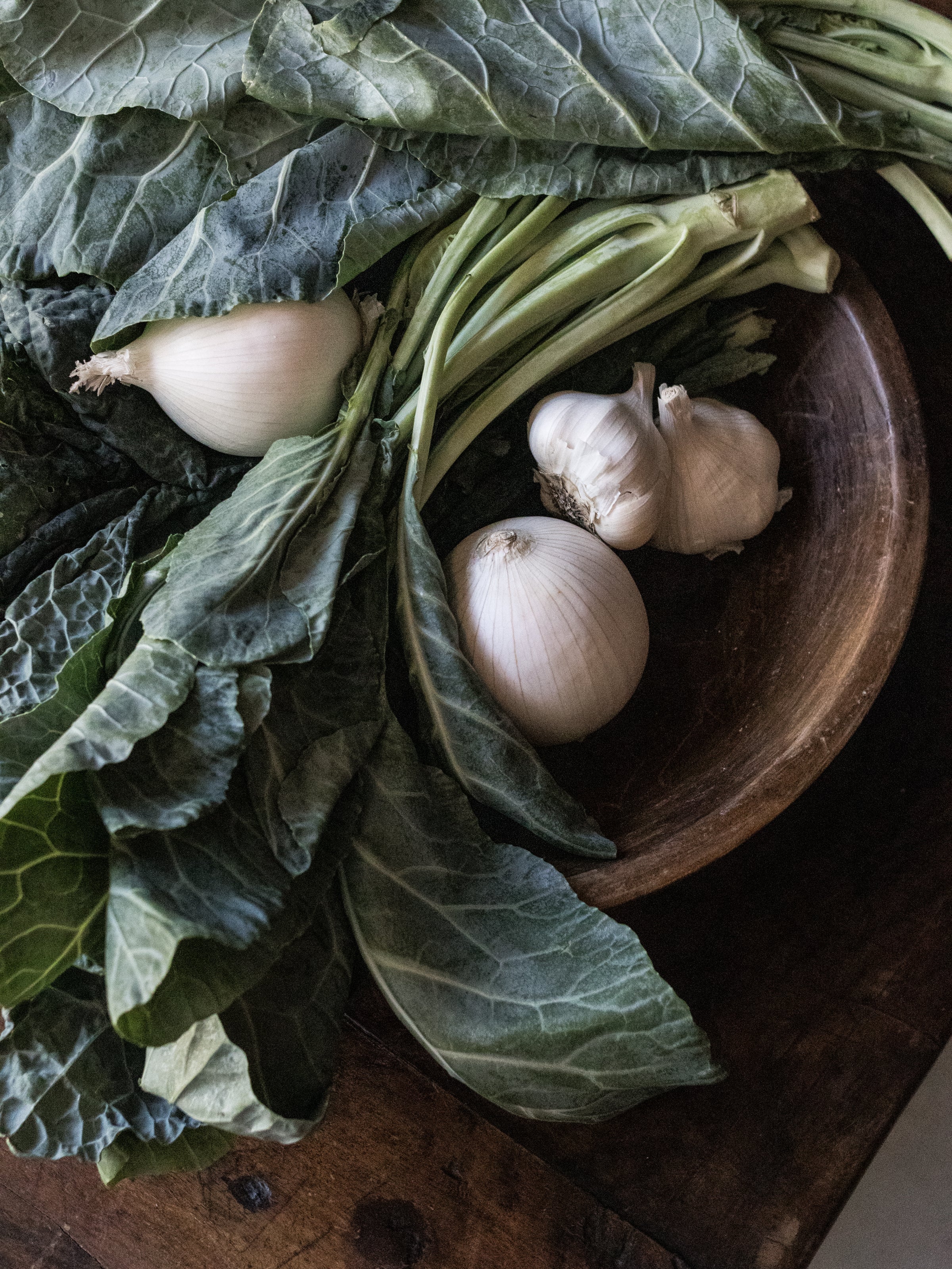 Shop Gal Guide | January Edition - elsie green