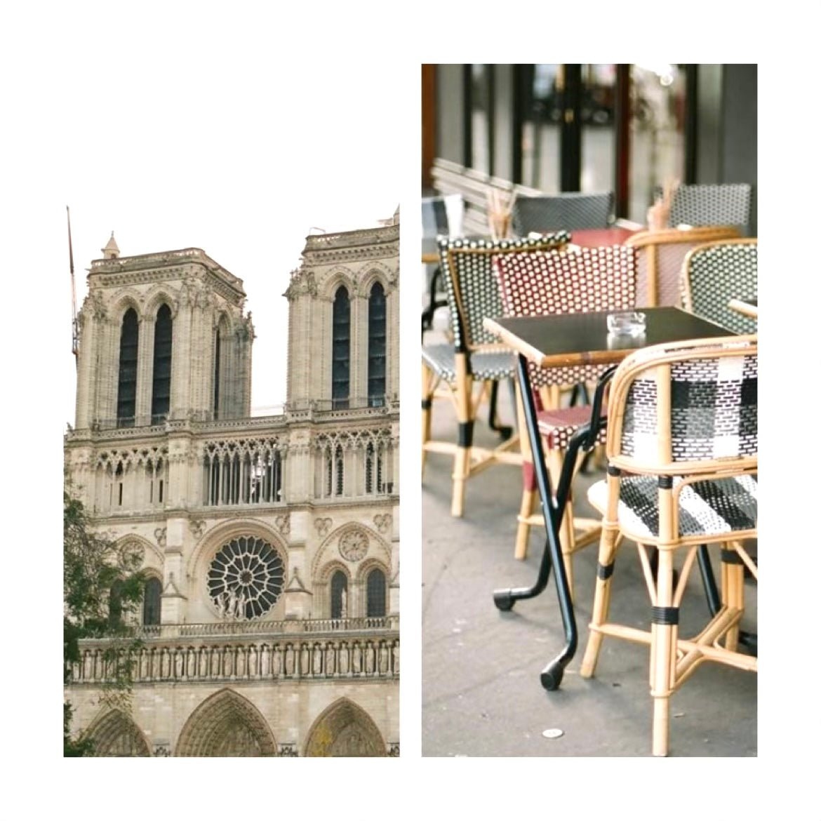 Shop Gal Guide | March Edition - elsie green