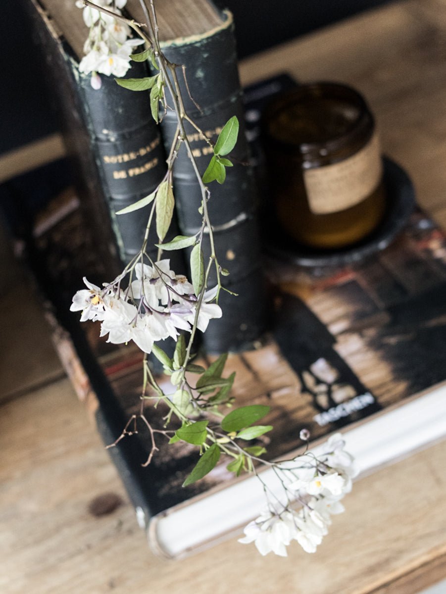 Shop Gal Guide | May Edition - elsie green