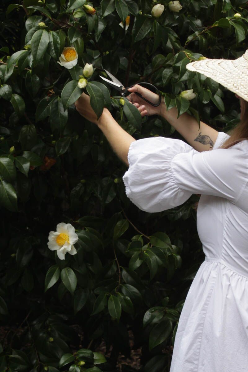 Shop Girl Fashion | In My Garden Era - elsie green