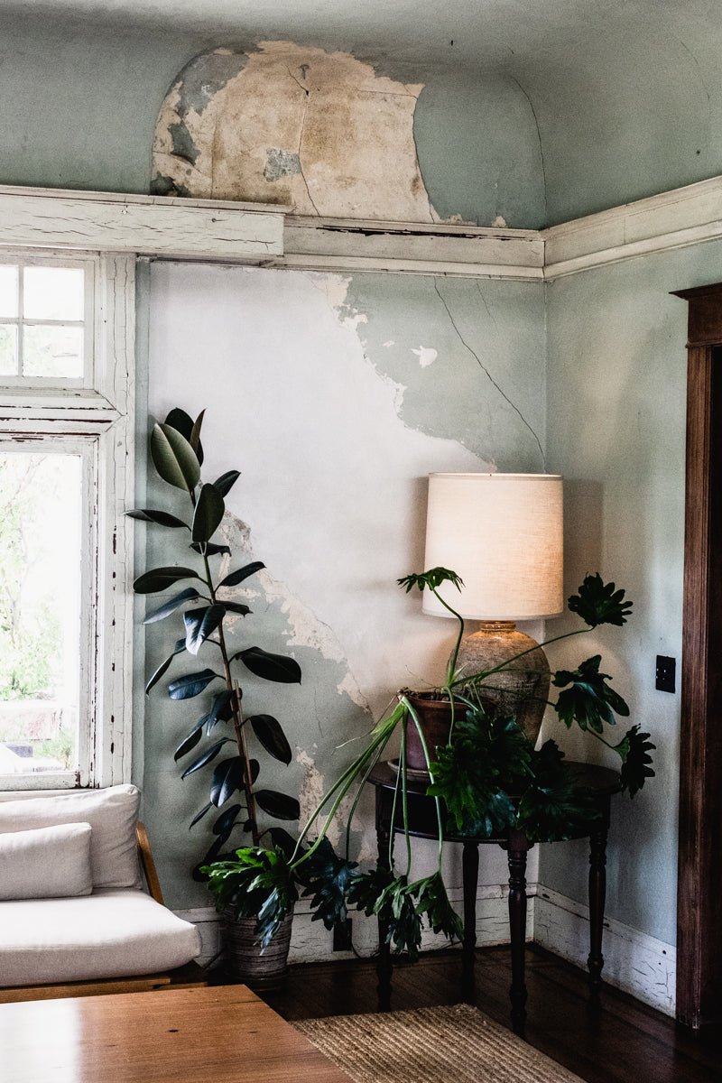 The Coolest Winery in Sonoma County | A Conversation with Scribe - elsie green