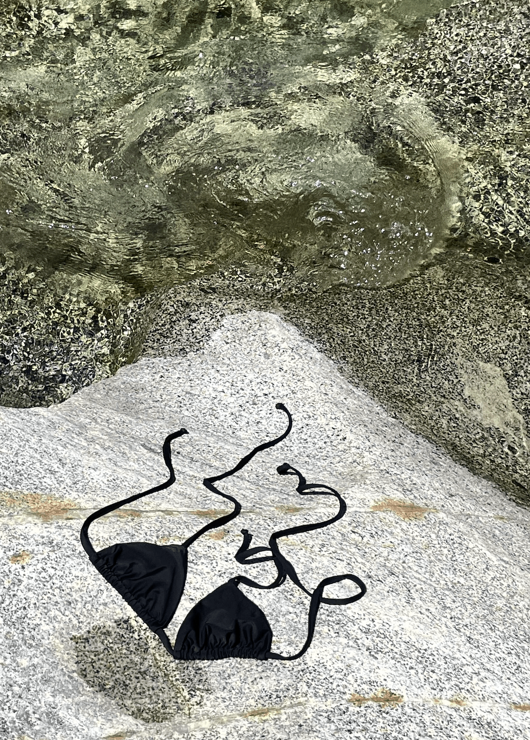 The Little Black Bathing Suit - elsie green