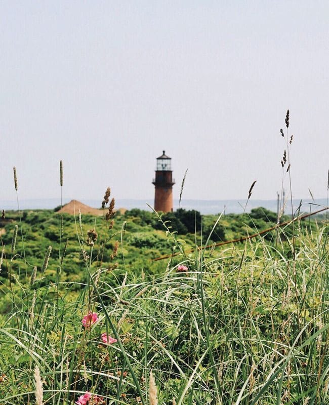 Travel Guide | Martha's Vineyard - elsie green
