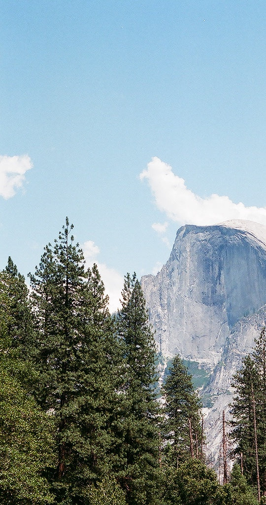 Photo Essay | Yosemite on Film