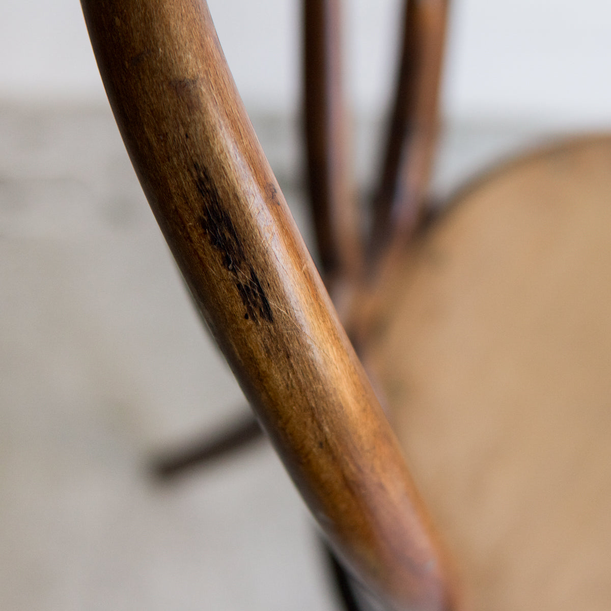 Bentwood Omega Dining Chair - elsie green