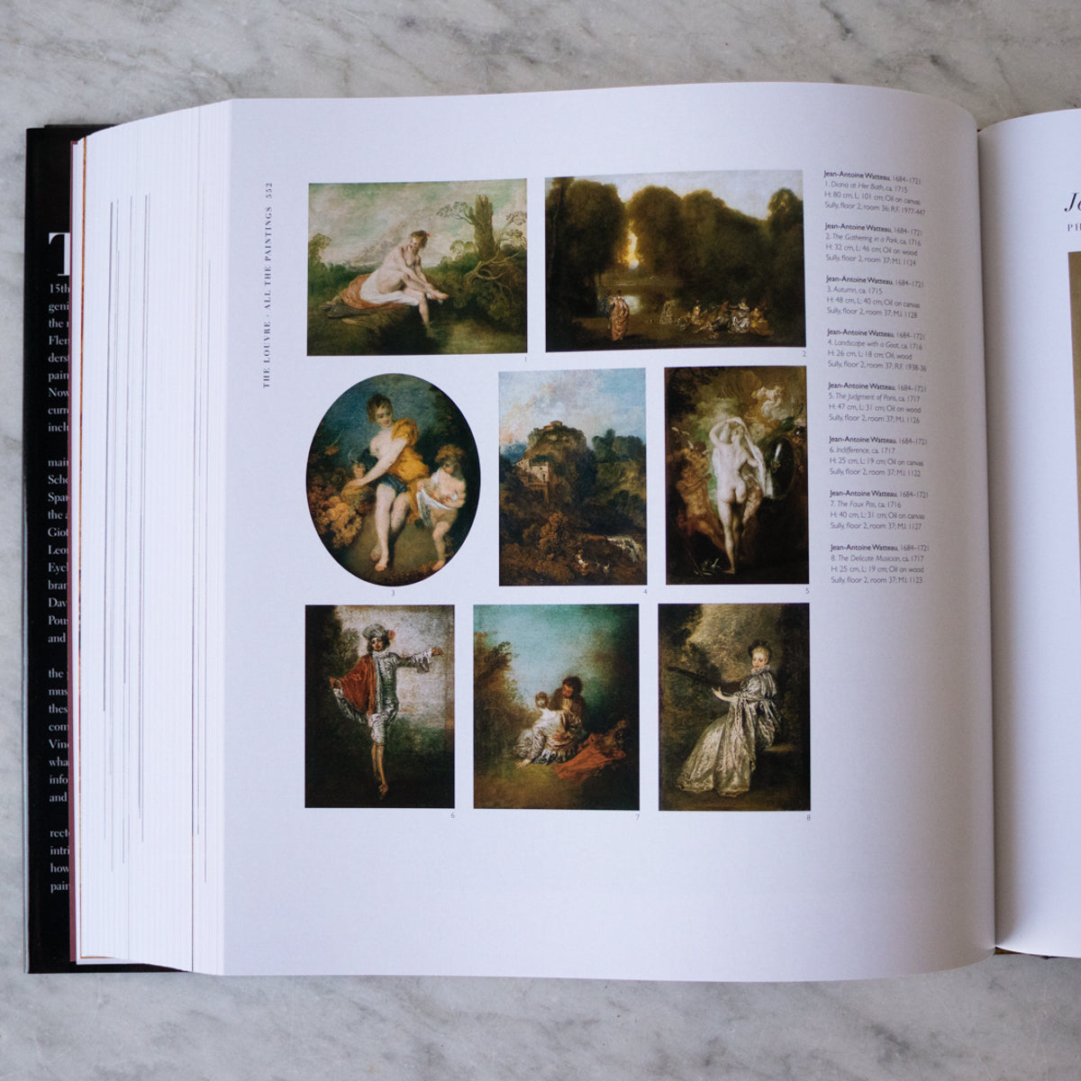 The Louvre All the Paintings elsie green